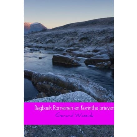 Dagboek Romeinen En Korinthe Brieven - Gerard Wassink