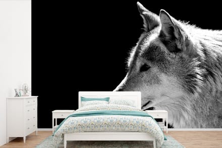 Behang - Fotobehang Wilde dieren - Wolf - Zwart - Wit - Breedte 450 cm x hoogte 300 cm