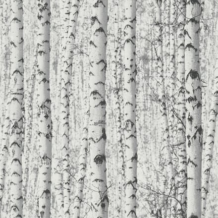 BERKENBOS BEHANG | Bomen - wit grijs zwart - A.S. Création PintWalls II