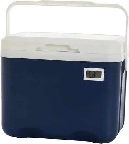 Mini Koelbox - IJskast Draagbaar - Buitenactiviteiten - Met Thermometer - 6L - Wit