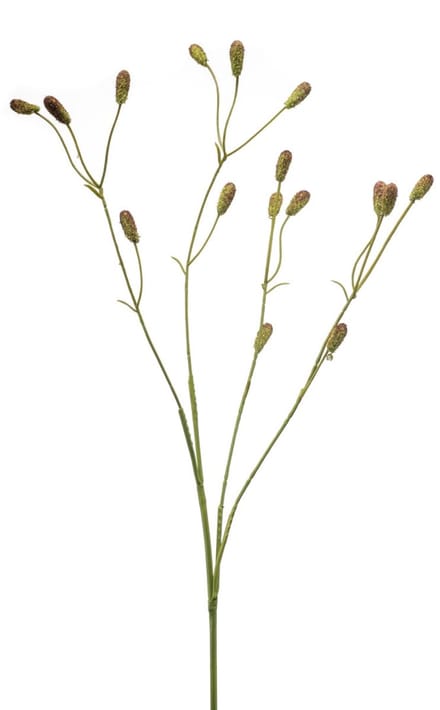 Emerald - Kunstbloem Bloedkruid 78cm groen/bruin - Kunstplant voor binnen