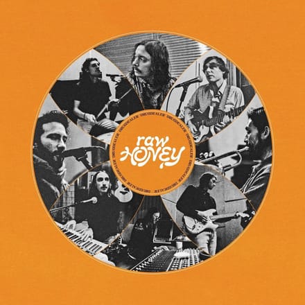 Drugdealer - Raw Honey (CD)