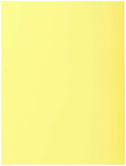 Exacompta 10x SUPER 210 -Pak van 5 dossiermappen met 2 kleppen - 24x32cm - . - Geassorteerd - 332100E