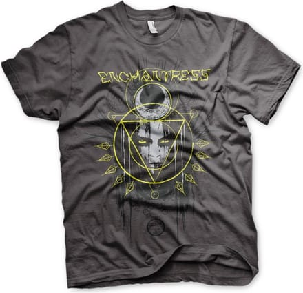 DC Comics Suicide Squad Heren Tshirt -M- Enchantress Grijs