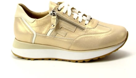 FOOTNOTES brons