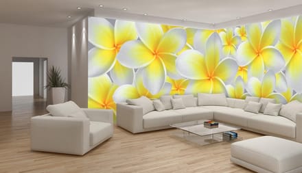 Fotobehang Vlies Bloemen | Geel, Wit | GROOT 832x254cm
