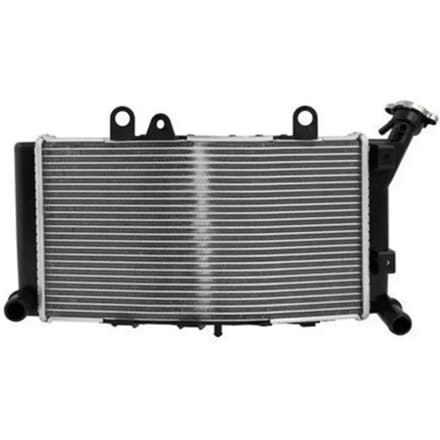 Motorradiateur Brazoline Bmw F 850 Gs (2019-2023)