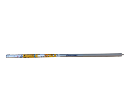 Buis