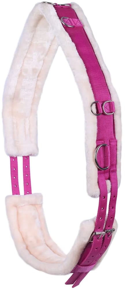 Pagony Wiesmoor Longeersingel - Maat: Cob - Fuchsia - Polyamide