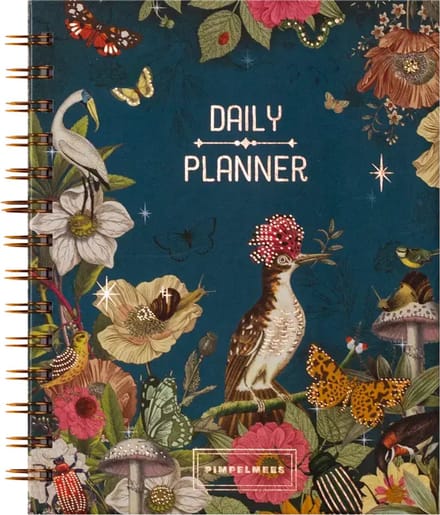 Pimpelmees Dagplanner Sky