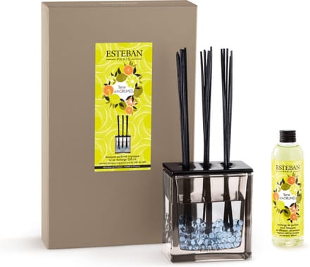 Esteban Classic Terre d'Agrumes Geurstokjes Triptyque 250ml