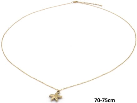 Ketting Zeester – RVS – 75cm