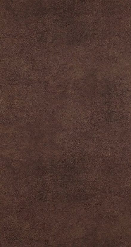 BRUIN LEATHERPRINT BEHANG CURIOUS 17922