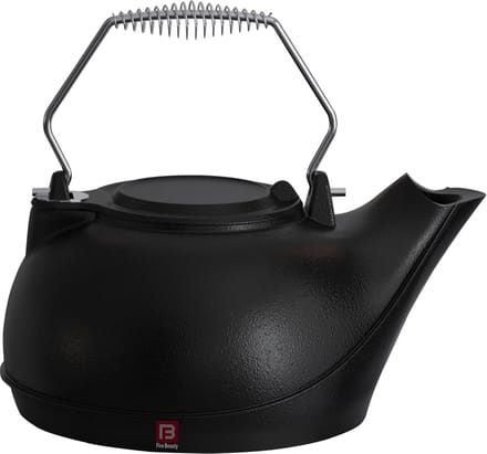 Stoomgenerator van Gietijzer voor Houtkachels