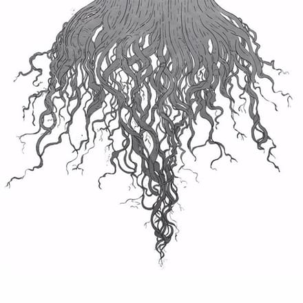 Meursault - Crow Hill (CD)
