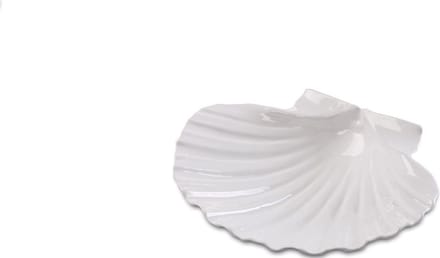 intermezzo amuseschaaltje schelp