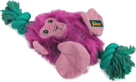 AFP Safari - Big Foot Monkey