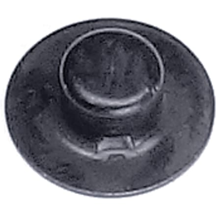 Cap bolt