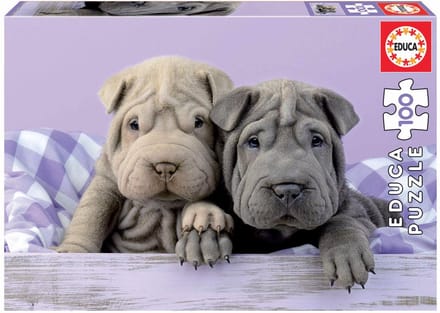 100 stukjes puzzel Educa Buenos Días