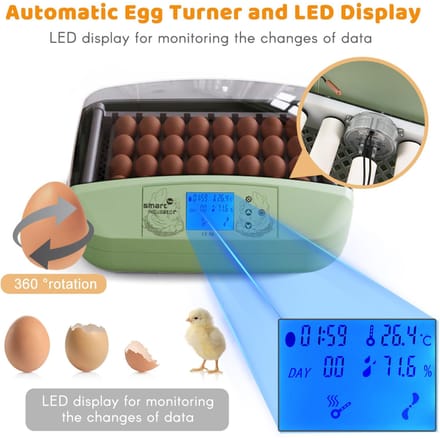 Eierbroedmachine 32 Eieren Pluimvee Digitale Broedmachine met Automatische Eierdraaiing Temperatuurregeling LED Display Temperatuur UK Plug groen