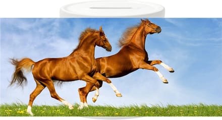Spaarpot - Bruine Paarden
