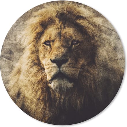 Muismat rond 20x20 cm - Mousepad Leeuwen - Abstract - Kleur - Ronde muismatten