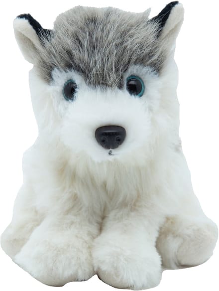 Cute since 1999 - Knuffel Husky - Hurkende Husky speelgoed - Baby knuffel - 17cm