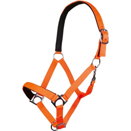 Halster voor paarden HKM Stars Softice