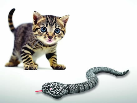 Wireless afstandsbediening Amphibious Snake speelgoed
