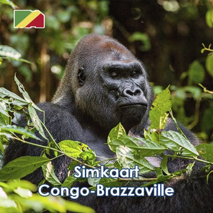 InternationalSIM Data Simkaart Mozambique - 3 GB - 15 dagen