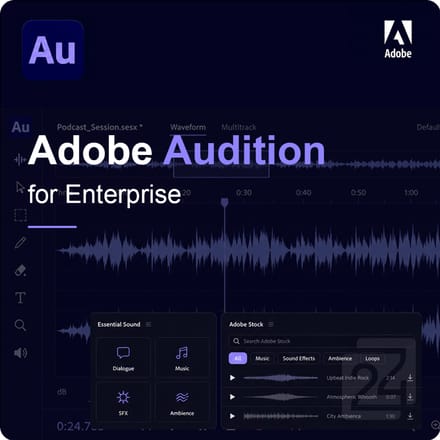 Adobe Audition for Enterprise EDU 100+ Gebruiker(s)