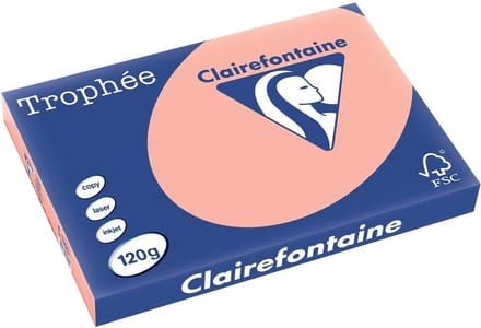 Clairefontaine Trophée Pastel A3 perzik 120 g 250 vel