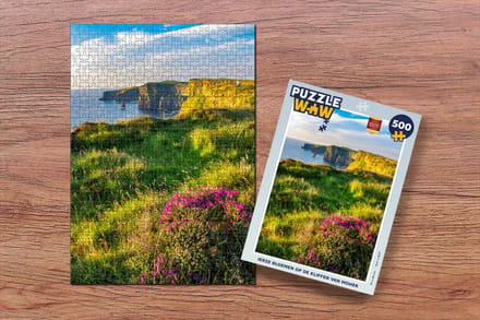 Puzzel Ierse bloemen op de Kliffen van Moher - Legpuzzel - Puzzel 500 stukjes