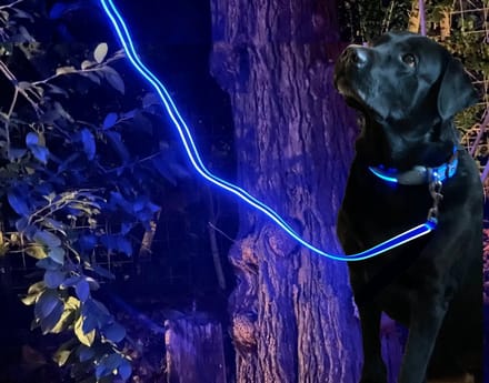 New Age Devi - LED-Hondenriem-Blauw