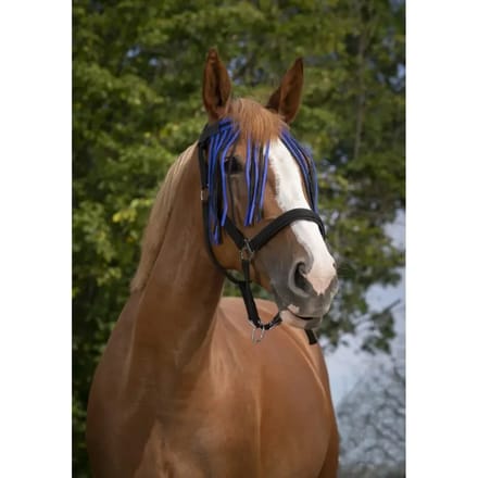 Frontaal voor paard Norton Chasse-mouches