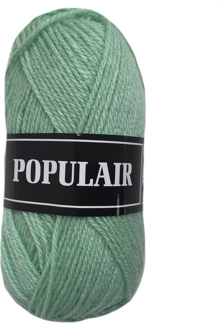 Beijer BV Populair acryl garen - mint (98) - 20 bollen