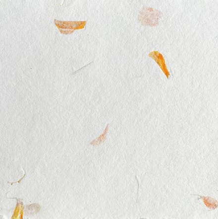Set van 25 vel Tree Free A4 katoenpapier met goudsbloem, 200 grs