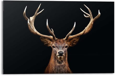 Schilderij Hert - 60 x 90 - Hout - REINDERS