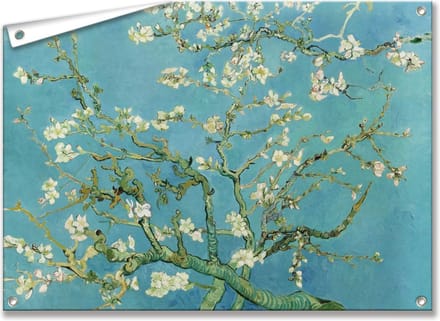 Tuinposter/Tuindoek Amandelbloesem - Vincent van Gogh - 70x50 cm