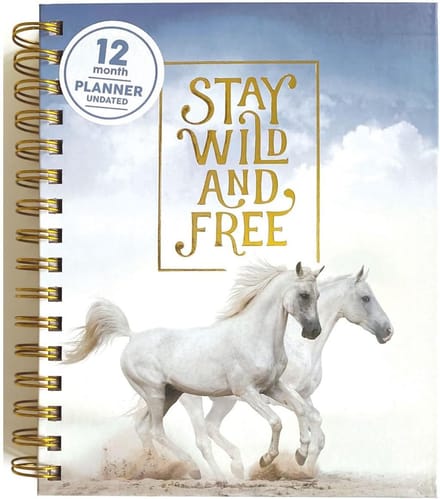 Ongedateerde Planner - Agenda Organizer - Dagelijkse Planning - Laag Profiel Ontwerp - 22 x 18 cm - Multi