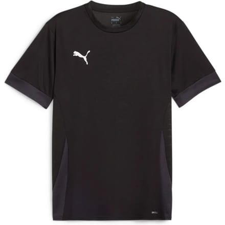 Jersey Puma Teamgoal Matchday