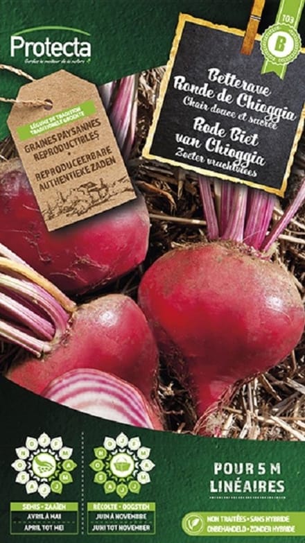 Protecta Groente zaden: Rode Biet van Chioggia