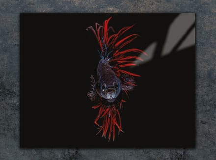 TMK ArtDeko - Snijplank - 30x22 cm - Glas - Hittebestendig
