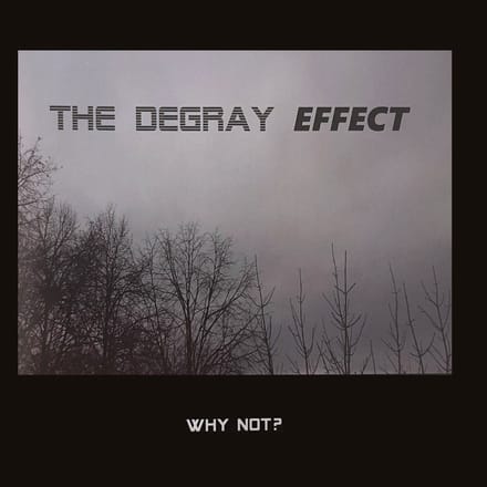 The Degray Effect - Why Not? (CD)