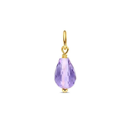 14K geelgoud hanger amethist 4030769