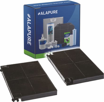 Koolstoffilter voor Progress MCFE16 / EFF55 / 9029800621 (2 St.)