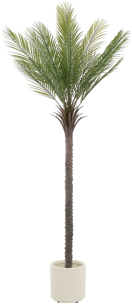 Kunstpalm 210 cm Tropische kunstpalm in pot ML design