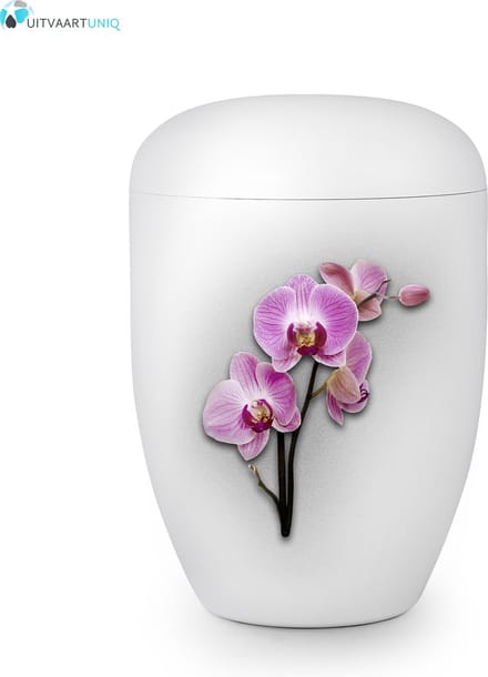 Eco urn wit orchidee - bio (biologisch afbreekbaar)