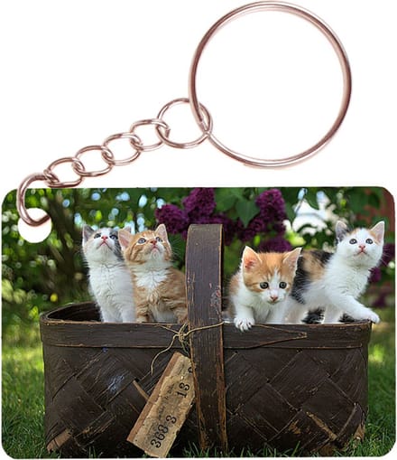 Sleutelhanger 6x4cm - Mand met Kittens