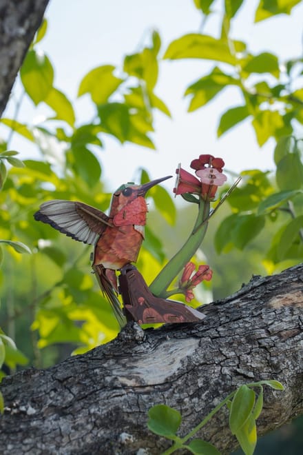MakeBug, 3D Modelbouwpakket, Sky Echo, Kolibrie/Hummingbird, MB-D-0058, 19x12x15cm